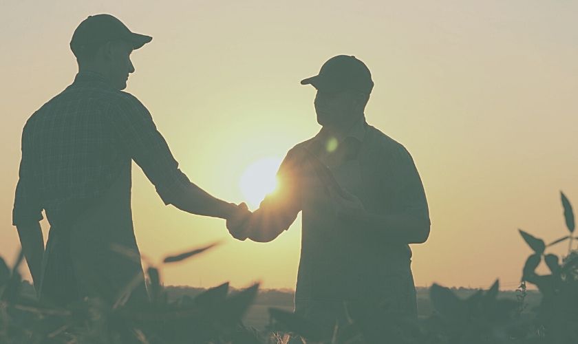 two farmers talking and shaking hands two farmers talking and shaking hands