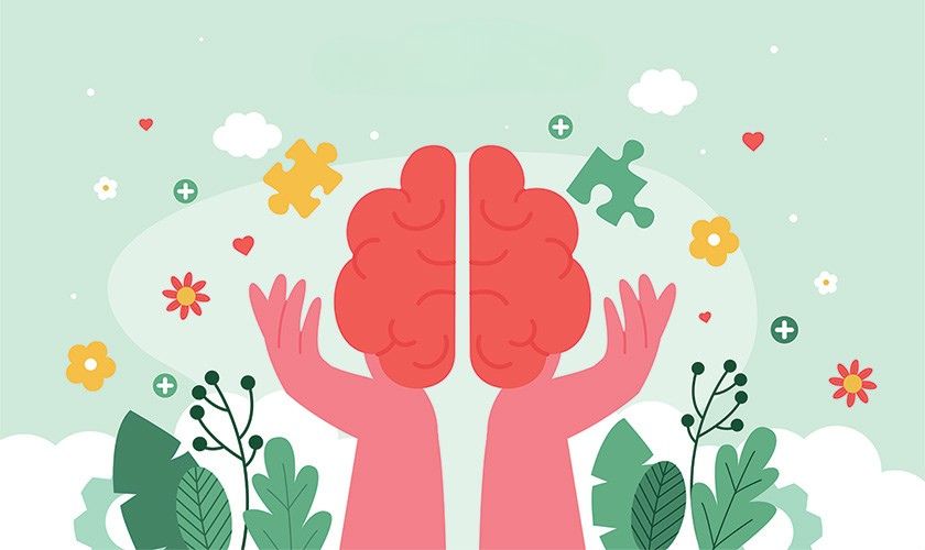 hands cupping a brain